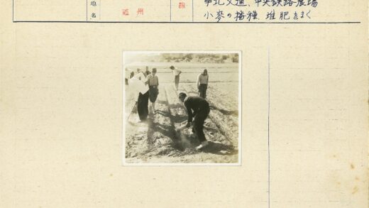 田野劳作与自然风光.jpg