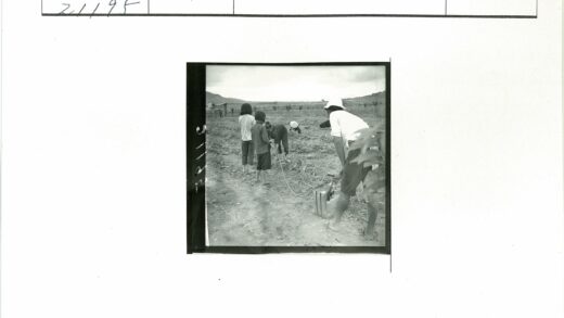 田野劳作与远山风景.jpg