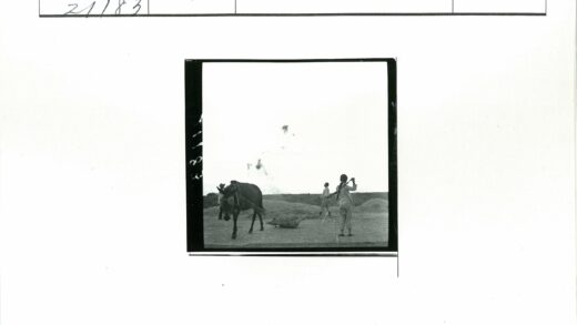田野劳作与骡子运输.jpg