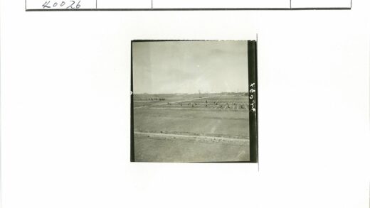 田野劳作丰收景象.jpg
