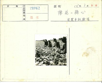 田野劳作绿意盎然.jpg