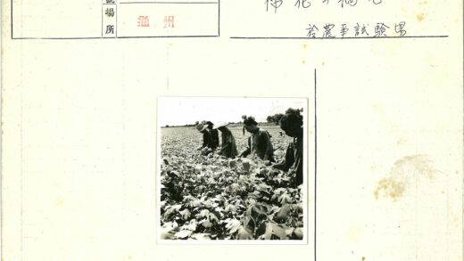 田野劳作绿意盎然.jpg