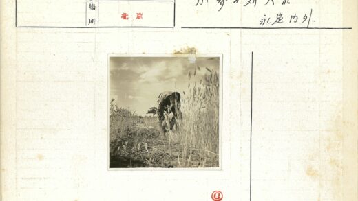 田野劳作高草丛中.jpg