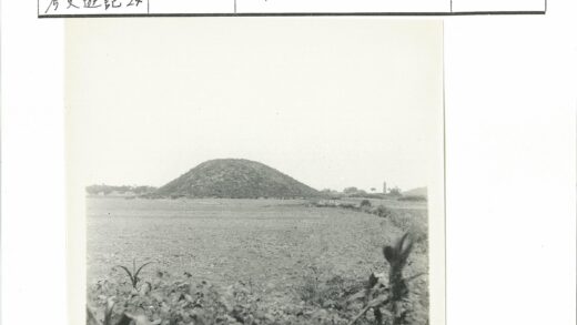 田野土丘远景树木建筑.jpg