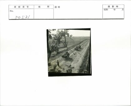 田野土路上的运木车.jpg