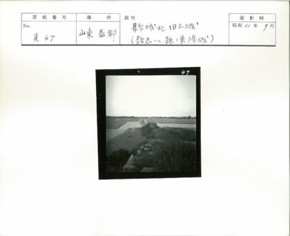 田野土路与绿色庄稼航拍.jpg