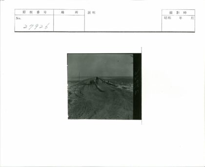 田野土路人群行走.jpg