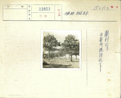 田野土路树影开阔风景.jpg