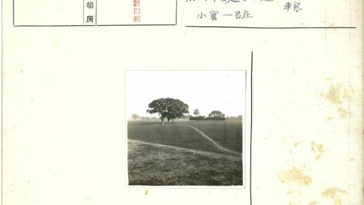 田野土路树木交错风光.jpg