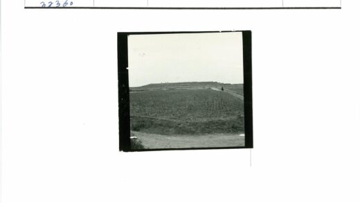 田野土路行人晴天远眺.jpg