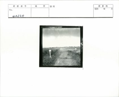 田野土路阴天路标行人.jpg