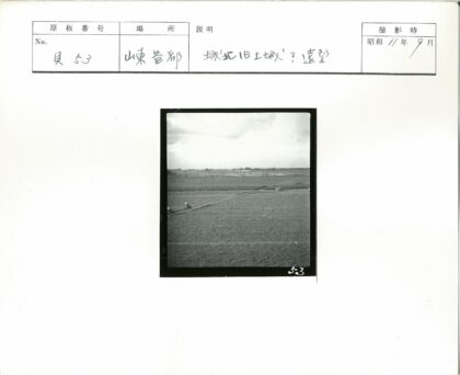 田野土路马车骑行风景.jpg