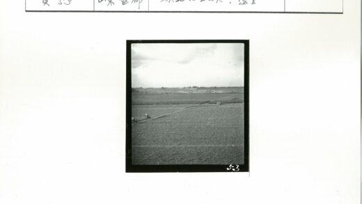 田野土路马车骑行风景.jpg