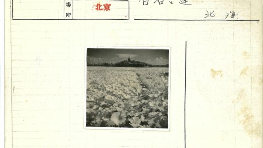 田野大叶子与山丘雕像.jpg