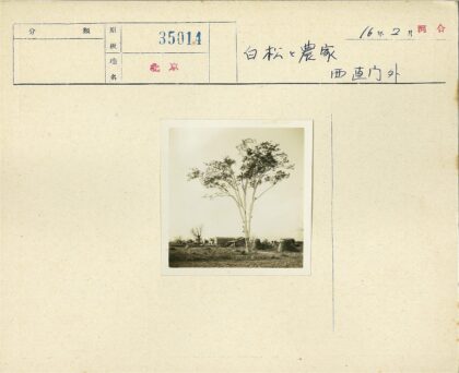 田野大树与农舍远景.jpg