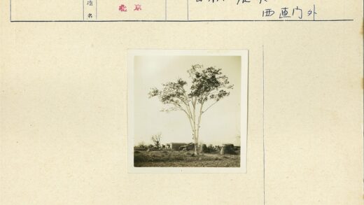 田野大树与农舍远景.jpg