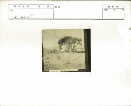 田野孤树与远村景色.jpg
