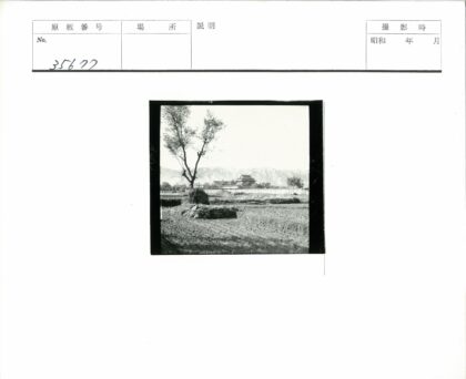 田野孤树远山古建风光.jpg