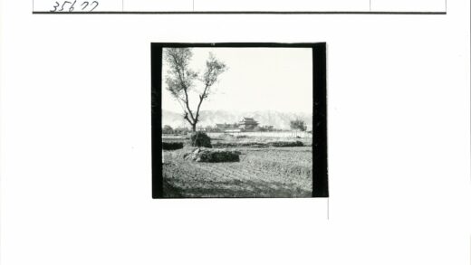 田野孤树远山古建风光.jpg