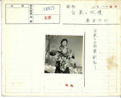 田野孩童手持绿叶蔬菜.jpg
