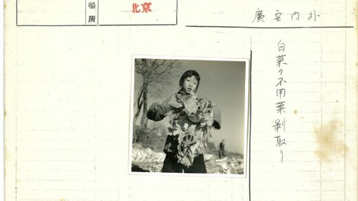 田野孩童手持绿叶蔬菜.jpg