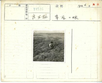 田野孩童采撷篮.jpg