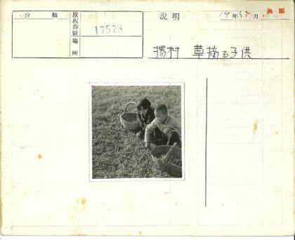 田野孩童采草集趣.jpg