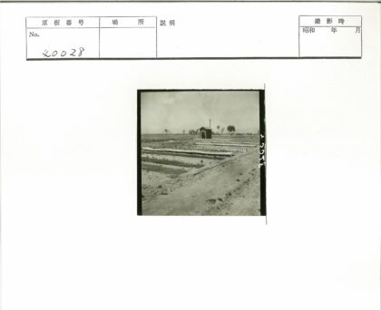 田野小木屋与土路风光.jpg