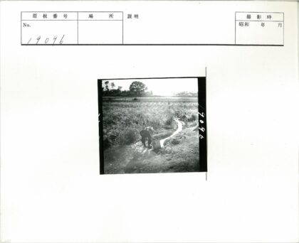田野小溪边劳作.jpg