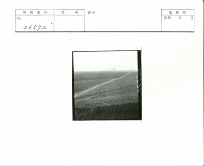 田野小路与稀疏树木.jpg