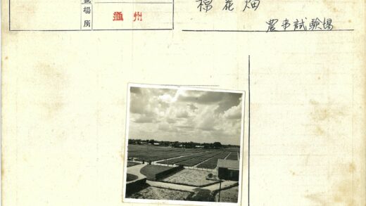 田野小路与远山风景.jpg