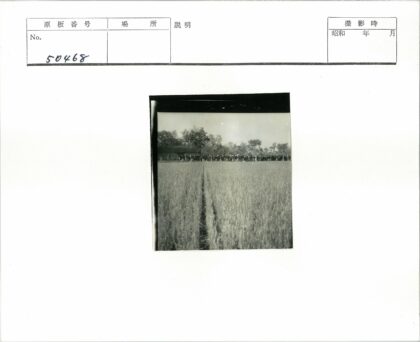 田野小路旁的集体合影.jpg