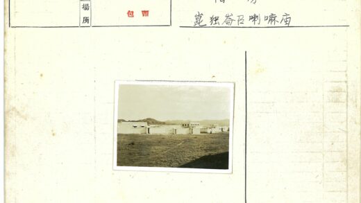 田野山景单双层建筑.jpg