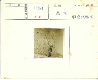 田野山景持草人.jpg