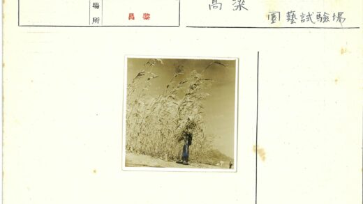 田野山景持草人.jpg