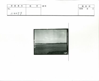 田野延伸至水域的独行人.jpg