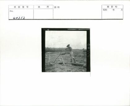 田野手摇水泵操作纪实.jpg