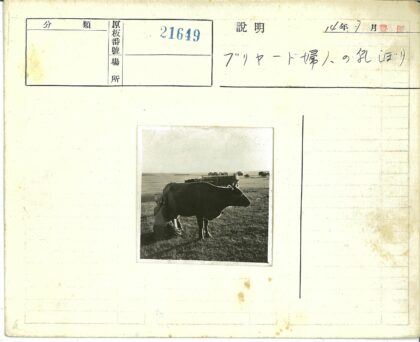 田野挤牛奶与马车背景.jpg