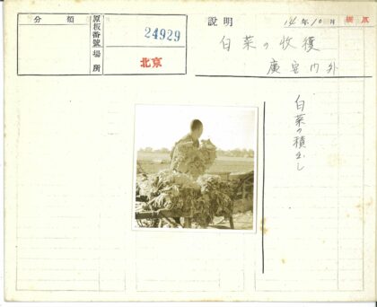 田野整理树叶工作照.jpg