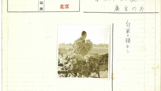 田野整理树叶工作照.jpg