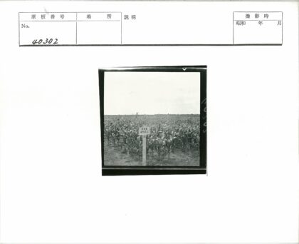 田野木制路标风景.jpg
