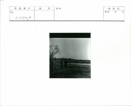 田野树旁的人群与建筑背景.jpg