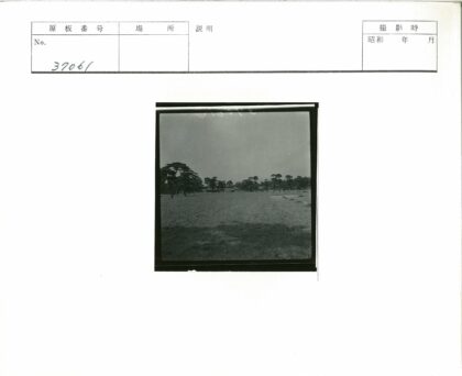 田野树木与远建筑风景.jpg
