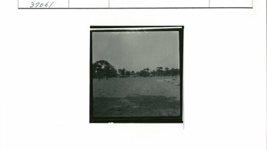 田野树木与远建筑风景.jpg