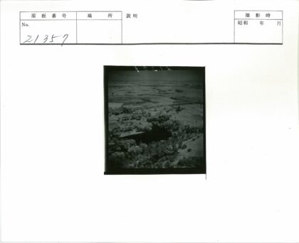 田野森林建筑鸟瞰图.jpg