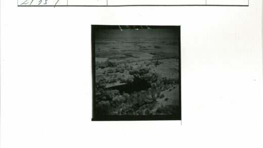 田野森林建筑鸟瞰图.jpg