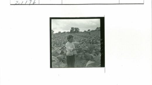 田野植物检查多云背景.jpg