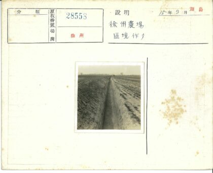 田野沟渠边的孤独身影.jpg