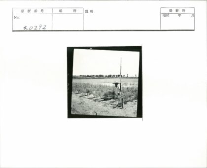 田野测量员工作纪实.jpg
