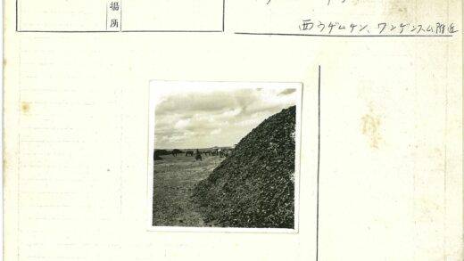 田野煤堆与农人牛群.jpg